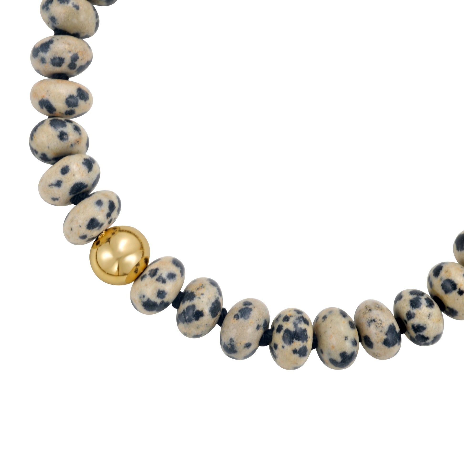 Dalmatian Jasper Bead Bracelet In 14K Gold